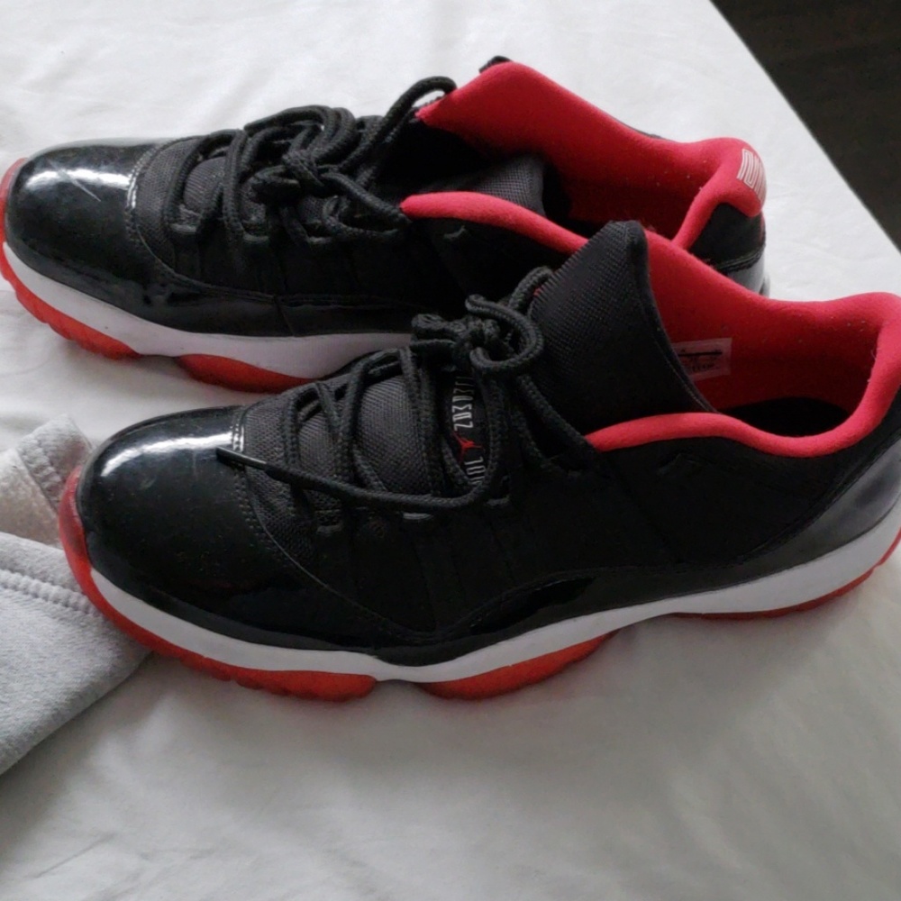 Jordan bred low
